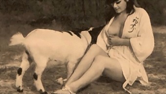 Classic Vintage Taboo: Pussy And Pooch