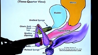 European Tutor Teaches How To Make A Girl Squirt In Hd